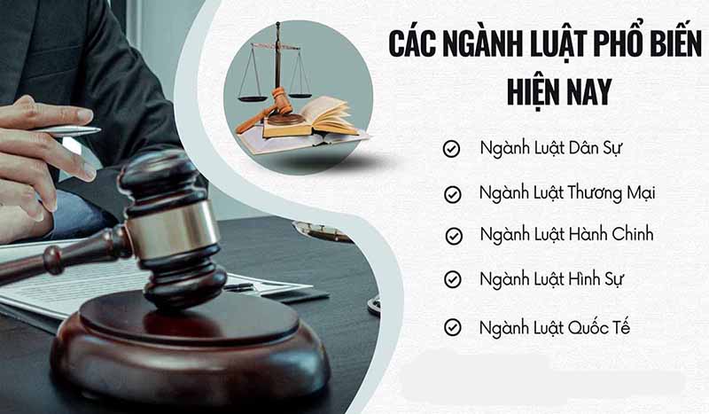 Các ngành luật phổ biến hiện nay