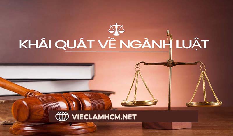 Sinh viên nên học ngành luật nào để có việc làm sau khi ra trường