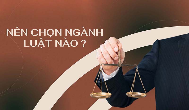 Nên học ngành luật nào?